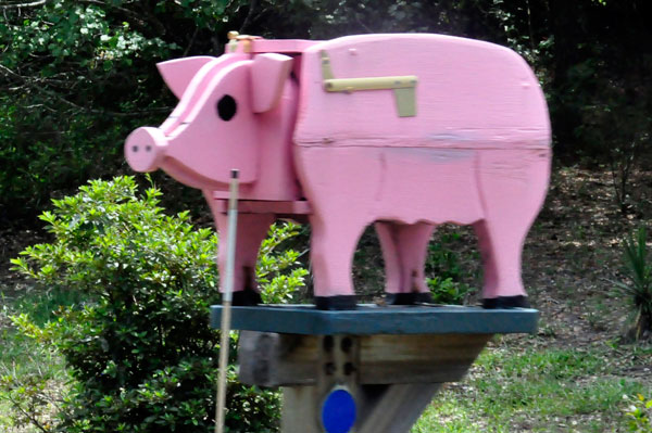 A pink Pig Mailbox in Duck, NC